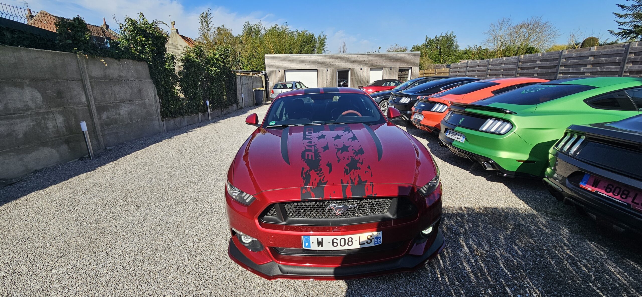 Ford Mustang GT BA V8 5.0 Fastback Coupé 421 CH, 1ERE MAIN, Garantie – Image 12